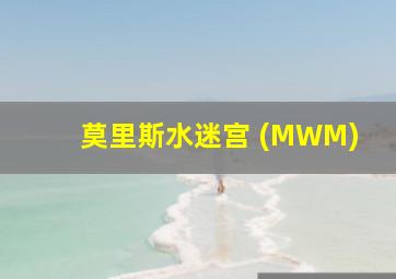 莫里斯水迷宫 (MWM)